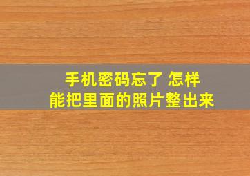 手机密码忘了 怎样能把里面的照片整出来